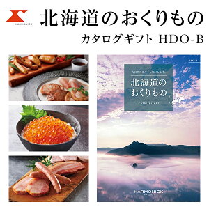 J^OMtg kĈ 20000~R[X HDO-B n[jbN yMtgJ^O/wj/o/j/Ԃ/oYj/j/Cj/TԂ/@v@/ԗiz