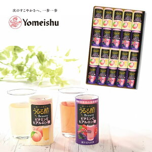 {𐻑̔e HׂO | r[eB[2iATC[JVXAjlZbg v[g N Mtg Ԃ j qA_