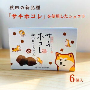 Hc TLzR ĕ Kg[VR 6 Hc TLzR Hc Ԃ j ei