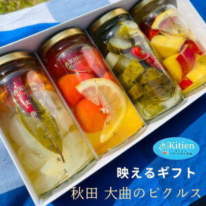 Hc Ȃ̃sNX 44 Zbg  FROM _ ԉ΂̂܂ ڔ_ hV̓