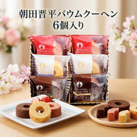 お中元 朝田晋平バームクーヘンセット 6個入り 粗品 御礼 バウムクーヘン お返し 洋菓子 内祝 出産内祝 結婚内祝 快気祝 香典返し おしゃれ 個包装 日持ち お菓子 ギフト