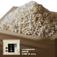 生米麹 米こうじ 5合 800g 生冷凍袋入 なま米糀 米麹【蔵元直送】国産銘柄米使用（国産米使用） 塩麹や味…