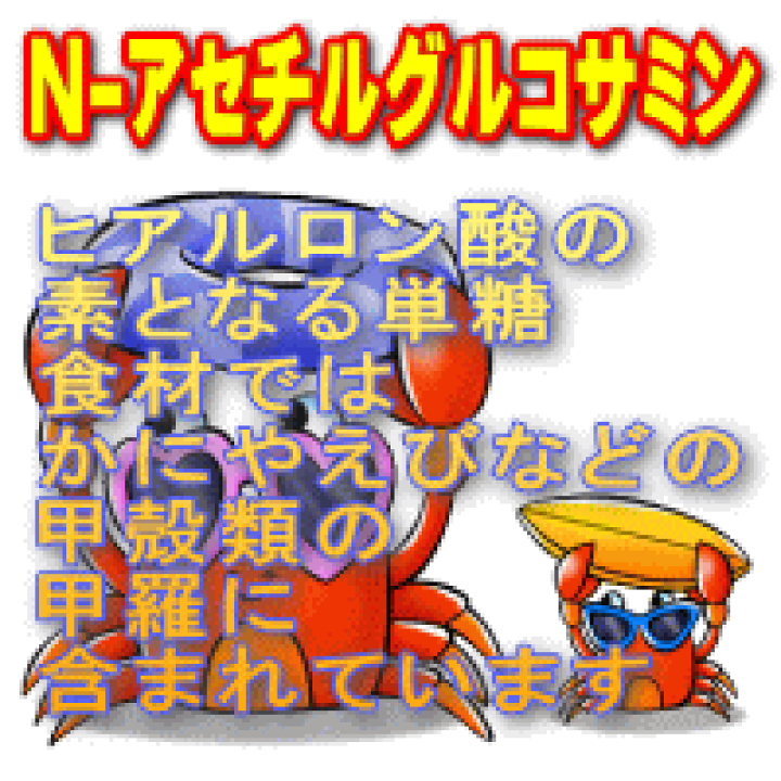 糖鎖 生ゼリー【新品】 糖鎖（とうさ）生ゼリータイプ