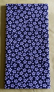 ʂ   @ { aNH (ʃrj[ܓ) n nJ` ӂ E{fB^I V| [֑Ή