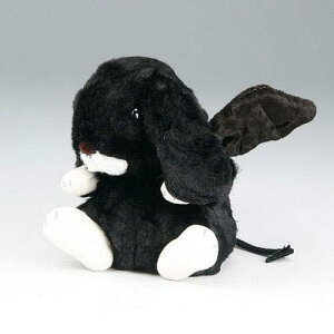 ̃bvC[@ʂ݁@fr@ubN@y^ETM^ʂ݁^ETMkCO~^kCO~^`[t^^ߋ^{z