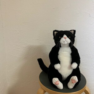 Jh[@˂@ʂ݁@rܘYyCuddly^kCO~^˂ʂ݁^lRkCO~^{ʂ݁^ʂ݁^WS[^L^lR^{z