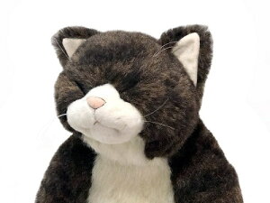 Jh[@V@LWg@˂@ʂ݁@Sleeping KinnosukeyCuddly^kCO~^˂ʂ݁^lRkCO~^{ʂ݁^ʂ݁^L^g^LWgL^