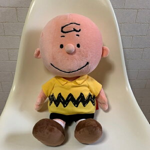 チャーリーブラウン ソフトぬいぐるみ Mサイズ 139542-19【PEANUTS/ピーナッツ/SNOOPY/スヌーピー/チャーリー/ぬいぐるみ/ヌイグルミ】【楽ギフ_メッセ入力】