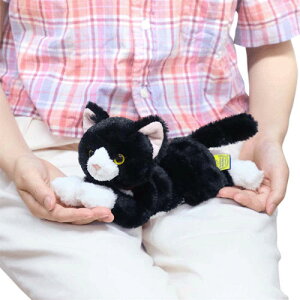 Ђ˂@SS@n`@ʂ݁@P-8432y˂ʂ݁^n`^͂^˂^lR^L^ߋ^z