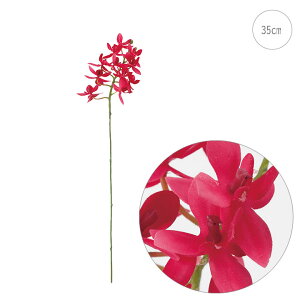 y3{Zbgzy ӒzVAt@m(35cm) (bh) S[WX GKg Xܑ CeA fBXvC G o  Cxg   ϗtA A[gO[ AW