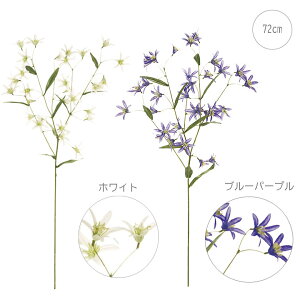 yeF3{ZbgzϗtA  X^[Ot[ (72cm) lH ϗtA ^ _ CeA t[AW Vv lHϗtA  fBXvC b炸