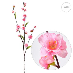 y3{Zbgzỷԁz񓍎} (67cm) ЂȍՂ Xܑ CeAfBXvC G o  Cxg   ϗtA A[gO[