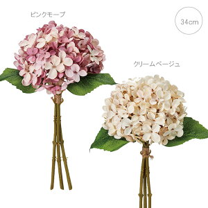 yeF2{Zbgz ZsAinChWAoh (Ԍa17cm) AWTC  Xܑ CeAfBXvC G o  Cxg   ϗtA A[gO[