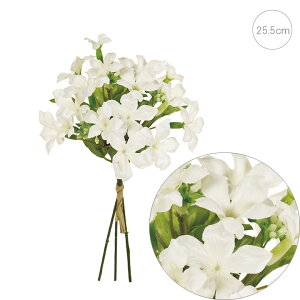 y3{ZbgzWX~ XC[gXet@msbN (3Zbg) tFCNt[ ϗtA Xܑ CeAfBXvC G o  Cxg   A[gO[ WX~