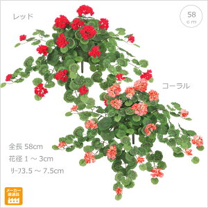 花 ゼラニウムの人気商品 通販 価格比較 価格 Com 花 ゼラニウムの人気商品 通販 価格比較 価格 Com
