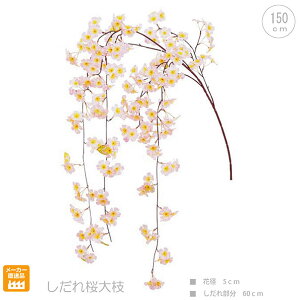 y2{Zbgz} (150cm) Xܑ CeAfBXvC G o  Cxg   ϗtA A[gO[ Cherry blossom