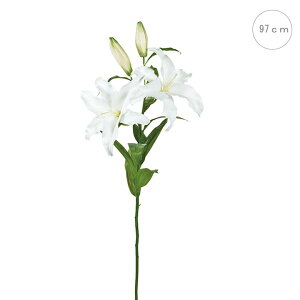 y JTuJzI[h[JTuJ (97cm) S[WX Xܑ CeAfBXvC G o  Cxg   ϗtA A[gO[ v[g