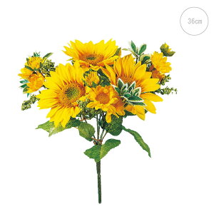 y2{ZbgztbVTt[ubV  Ђ܂ tFCN  CeA fBXvC G o  Cxg   ϗtA A[gO[  T}[ ċx A