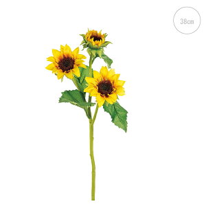 y3{ZbgzlTt[  tFCNt[   CeAfBXvC G o  Cxg ԑ ϗtA A[gO[ 