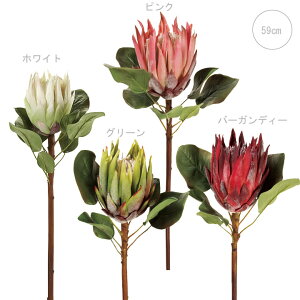 LOveA tFCNt[ (L59cm) (zCgEsNEO[Eo[KfB[j 썑 CeAfBXvC G o  Cxg   ϗtA A[gt[ g