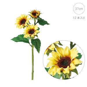 Tt[ (12{) (37cm)  Ђ܂  tFCN  CeAfBXvC G o  Cxg   ϗtA A[gO[  Tt[ S[WX