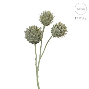 A[eB`[Ni12{j(58cm)  tFCNt[  A CeAfBXvC G o  Cxg  ϗtA A[gO[ gsJ AW