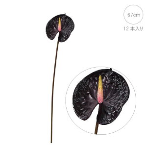 AXE (_[Np[v) (12{jVbN _ i Vv CeA mg[ tFCNt[  CeAfBXvC G o  Cxg  ϗtA 