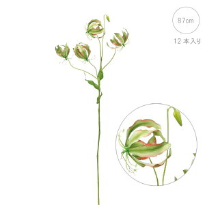 OIT (O[sN) (12{j썑 i Vv CeA mg[ tFCNt[  @fBXvC G o  Cxg   ϗtA A[gO[