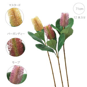 oNVA (12{)i}X^[hEo[KfB[E[uj썑 CeA tFCNt[  CeAfBXvC G o  Cxg  ϗtA A[gO[