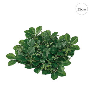 y2ZbgzVFt}bg (35cm) lH ϗtA X CeA Xܑ  tFCNO[ AW ݉ V ǖ