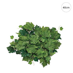 y2ZbgzVg[O[v}bg (40cm) lH ϗtA X CeA Xܑ  tFCNO[ AW ݉ V ǖ