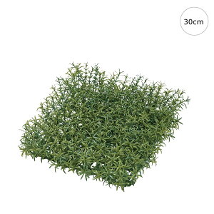 y2Zbgz[Y}[}bg (30cm) lH ϗtA X CeA Xܑ  tFCNO[ AW ݉ V ǖ