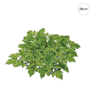 y2ZbgzGo[O[v}bg (38cm) lH ϗtA X CeA Xܑ  tFCNO[ AW ݉ V ǖ