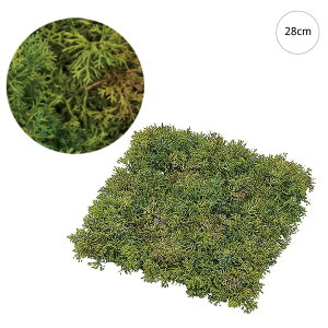 y2Zbgz\tgX}bg (27cm) lH ϗtA X CeA Xܑ  tFCNO[ AW ݉ V ǖ