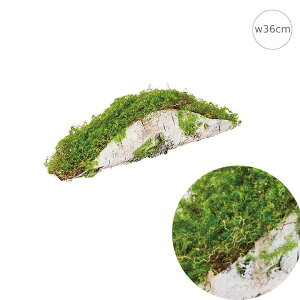 Xx[X(w36cm) (2Zbg) CeA } ؂芔 lH ϗtA X Xܑ  tFCNO[ AW ݉ V ǖ