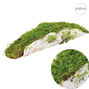 Xx[X(w50cm) CeA } ؂芔 lH ϗtA X Xܑ  tFCNO[ AW ݉ V ǖ