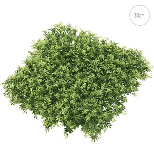 y2Zbgz~j{bNXEbh}bg(30cm) lH ϗtA X CeA Xܑ  tFCNO[ AW ݉ V ǖ