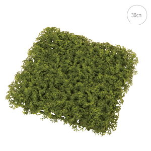 y2ZbgztB[hX}bg (30cm) lH ϗtA X CeA Xܑ  tFCNO[ AW ݉ V ǖ