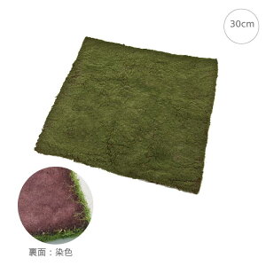 y2Zbgzi`X}bg(30cm) CeA } ؂芔 lH ϗtA X Xܑ  tFCNO[ AW ݉ V ǖ