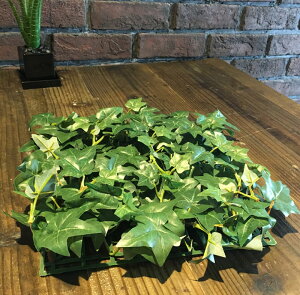 yēׁzy2ZbgzCObVACr[K[f}bg (30×30) ϗtA tFCN X CeA Xܑ  tFCN O[ AW ݉ V ǖ