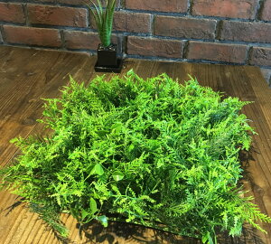 y2Zbgzyߏiz[JX~bNX[t}bg (35×35) ϗtA }bg X CeA Xܑ  tFCN O[ AW ݉ V ǖ