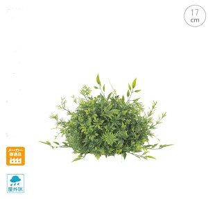 y4ZbgzyOdlz~bNXeB[[tn[t{[ (17cm) X {[ CeA Xܑ  tFCNO[ AW ݉ V ǖ