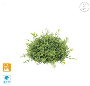 y4ZbgzyOdlz~bNXeB[[tn[t{[ (20cm) ^ X {[ CeA Xܑ  tFCNO[ AW ݉ V ǖ