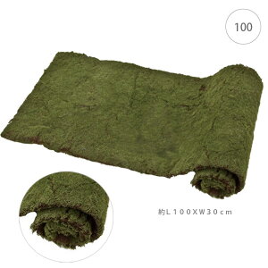 ylH ϗtAzi`X}bg[ (L100*W30cm) X CeA Xܑ  tFCNO[ AW ݉ V ǖ