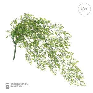 y2{ZbgzyOzK[toC (S80) ϗtA  ubV u[P  o` Xܑ CeAO[ tFCNO[ O A i