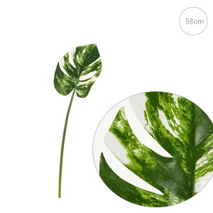 y10{ZbgzXe( ) ϗtA  AW  O[ Xܑ  t fBXvC CeA 炢 i ANZg