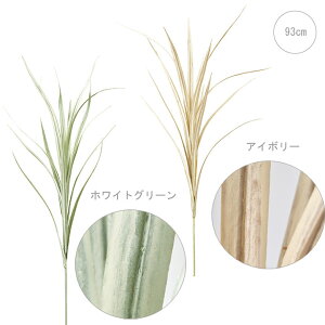 OW[j[TCubV (61cm) izCgO[EAC{[j AW  O[ Xܑ  t fBXvC 炢p[c tFCN ͂Ȃ