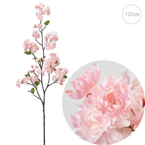 yׂ܂zݔd (122cm) t Xܑ CeAfBXvC G   AW   GgX ֑} ̊ a  a_ ze GKg f