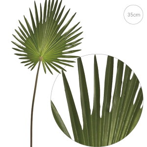 y2{Zbgzt@p[[t (77cm) AW  O[ Xܑ  t fBXvC 썑 ][g CeA