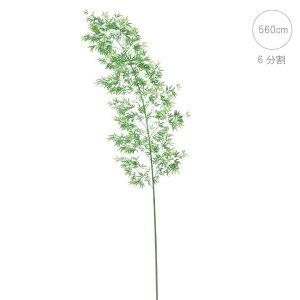 y߁z [ou[c[(560cm) ϗtA tFCNO[ AW  O[ Xܑ  t fBXvC a  }  ^